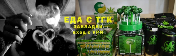 тгк Алексин