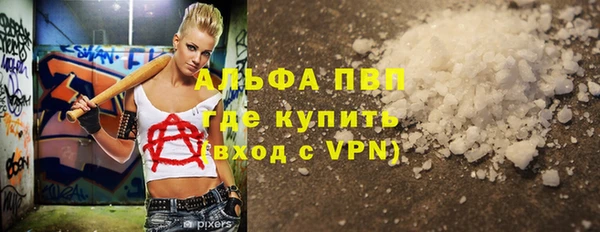 сатива Аркадак