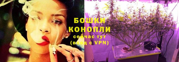 сатива Аркадак