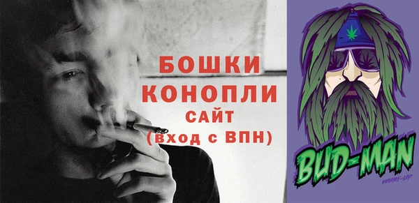 дживик Анива
