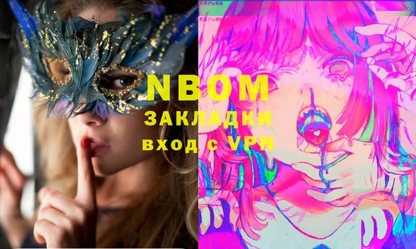 сатива Аркадак