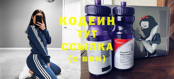 сатива Аркадак