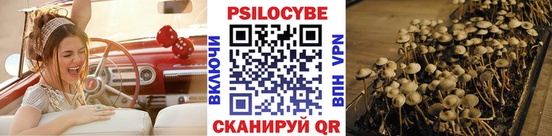 где найти   кракен ONION  Псилоцибиновые грибы прущие грибы  Боровичи 