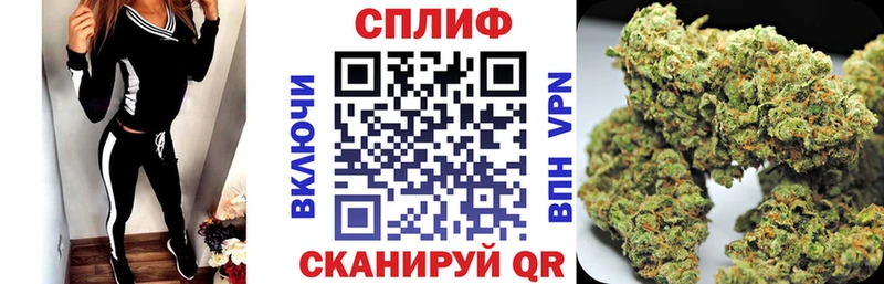 Конопля ГИДРОПОН  Боровичи 